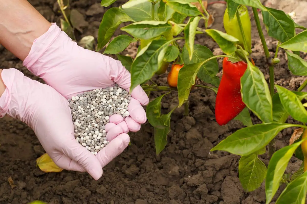 Curso de Abonos y fertilizantes