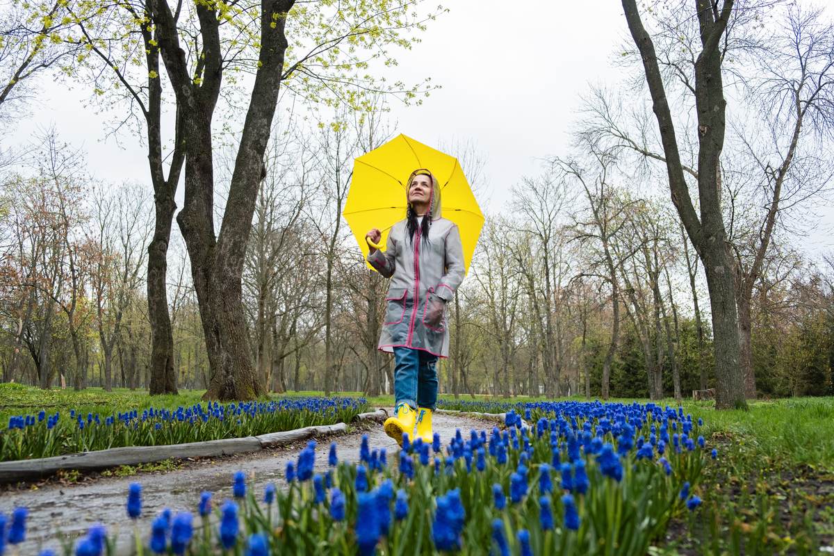 Curso de Inteligencia emocional