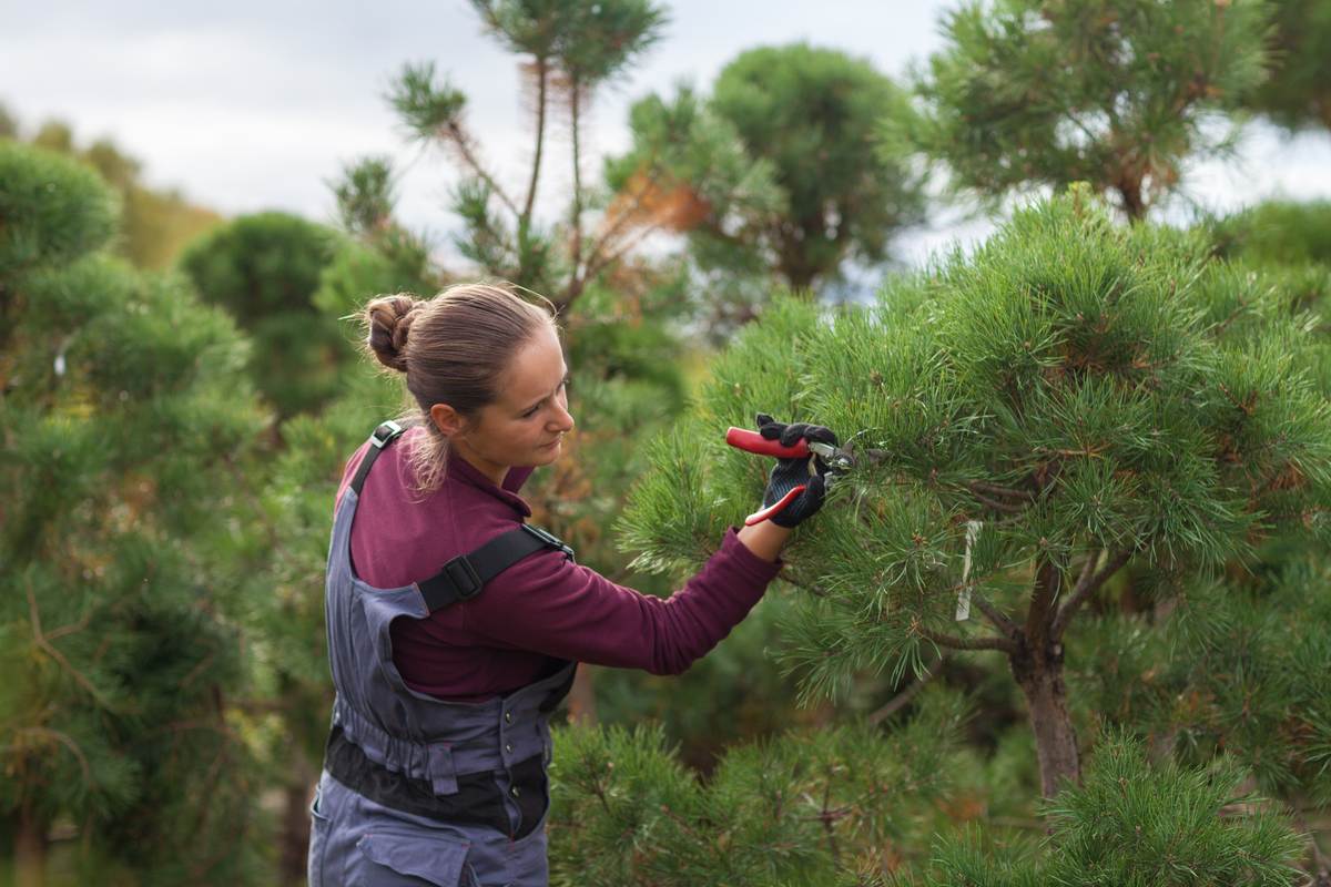 Curso de Operaciones generales de jardinería