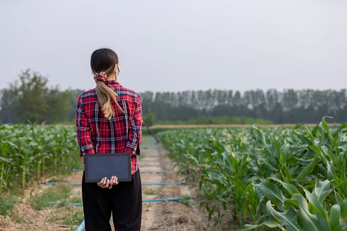 Curso de Monitorización agrícola e IOT