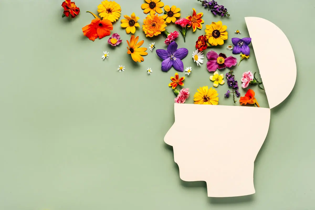 Curso de Programación neurolingüística y educación emocional en el aula