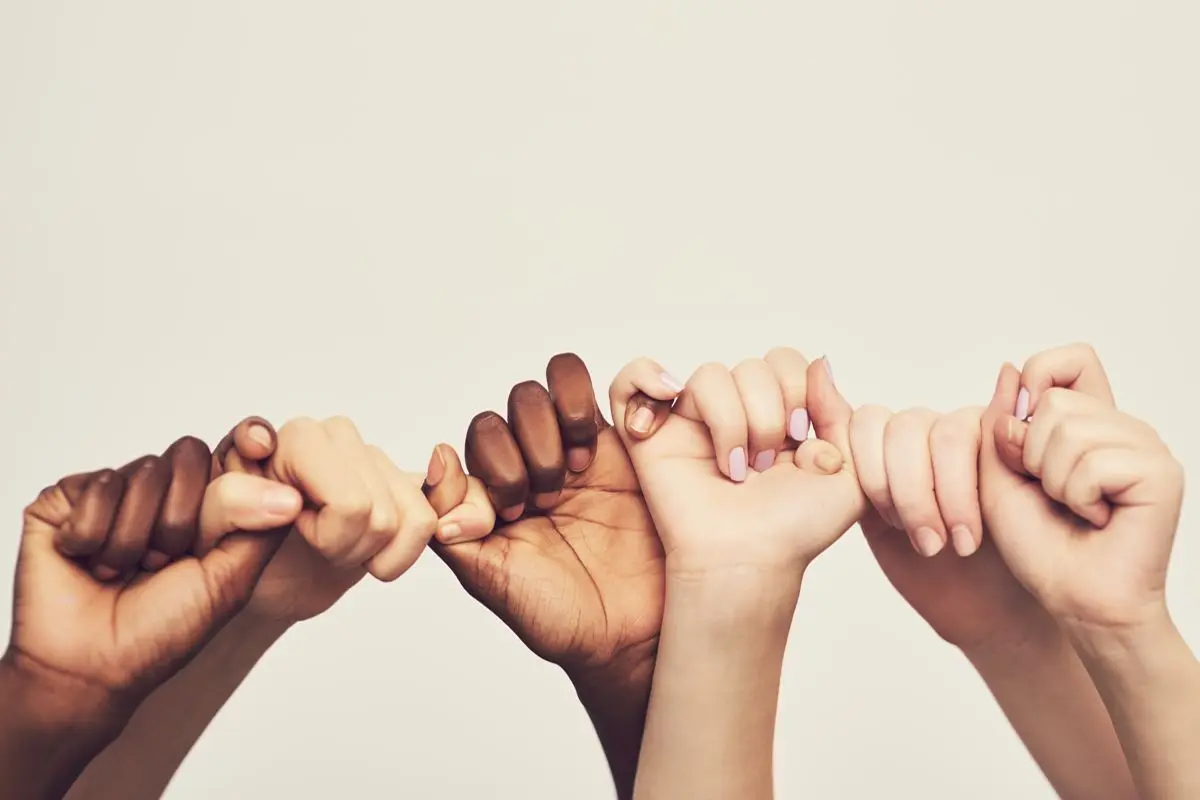 Curso de Prevención del racismo, la xenofobia y la homofobia en la escuela