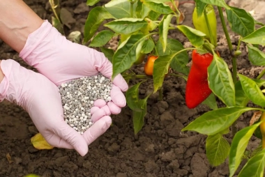 Curso de Abonos y fertilizantes