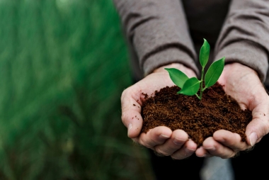 Curso de Sostenibilidad global de la cadena alimentaria