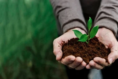 Curso de Sostenibilidad global de la cadena alimentaria