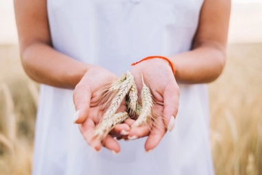 Curso de Cocina para celíacos
