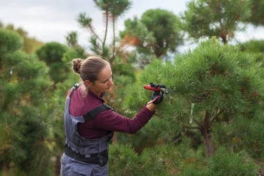 Curso de Operaciones generales de jardinería