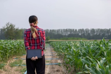 Curso de Monitorización agrícola e IOT