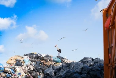 Curso de Riesgos ambientales en el sector de la recuperación