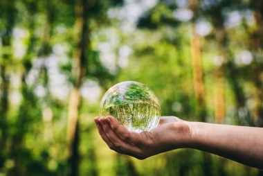 Curso de Sostenibilidad ambiental